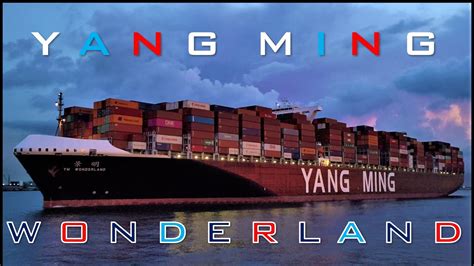 ym airline|YangMing Marine Transport Corp..